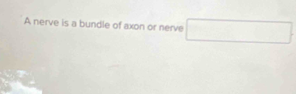 A nerve is a bundle of axon or nerve □