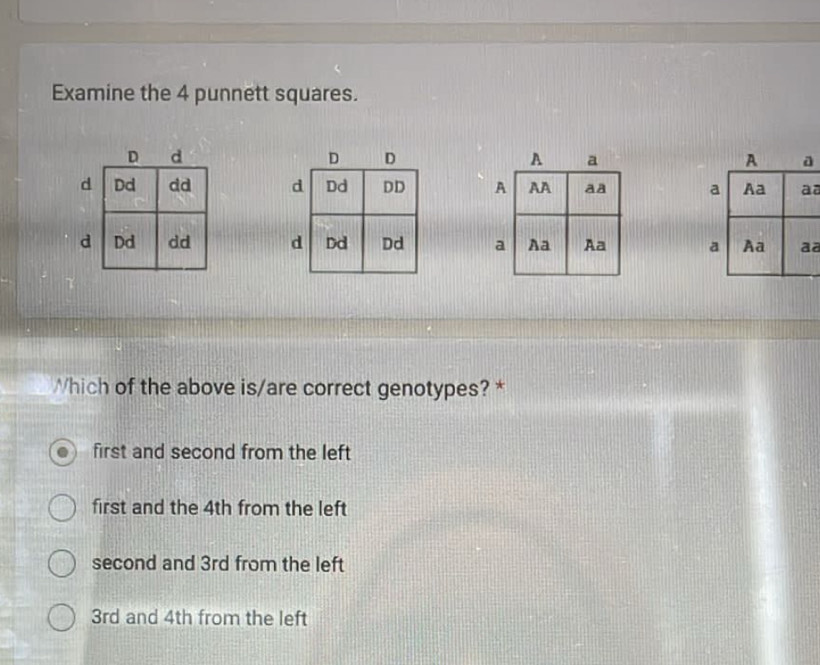 Examine the 4 punnett squares.
a
a
Which of the above is/are correct genotypes? *
first and second from the left
first and the 4th from the left
second and 3rd from the left
3rd and 4th from the left