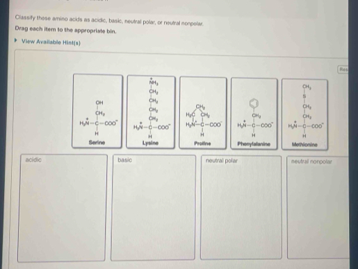 Classify these amino acids as acidic, basic, neutral polar, or neutral nonpolar.
Drag each item to the appropriate bin.
View Available Hint(s)
Res

acidic basic neutral polar neutrall nonpoliar