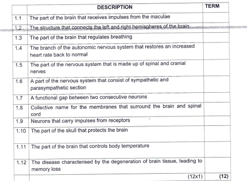 DESCRIPTION TERM
(12x1) (12)