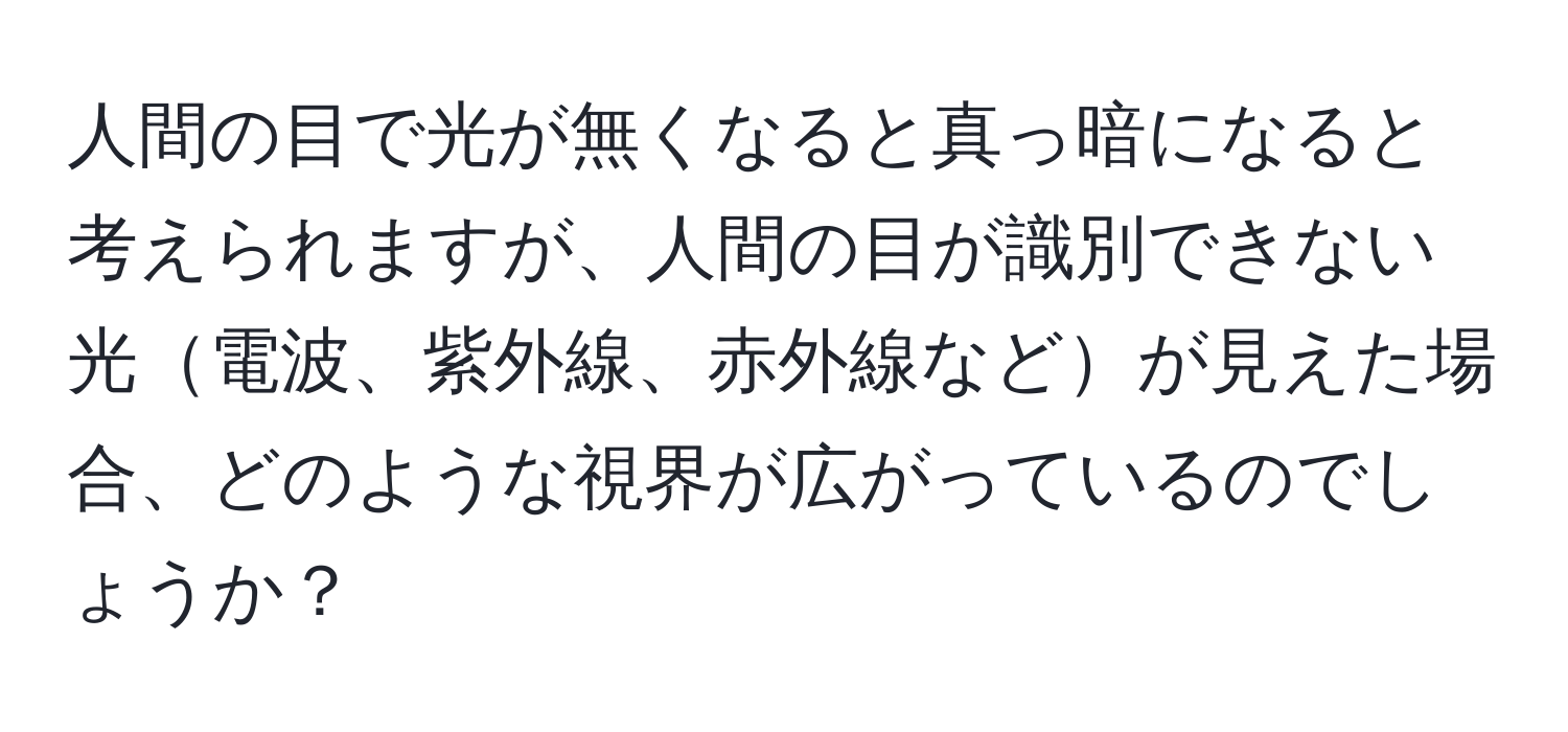 人間の目で光が無くなると真っ暗になると考えられますが、人間の目が識別できない光電波、紫外線、赤外線などが見えた場合、どのような視界が広がっているのでしょうか？