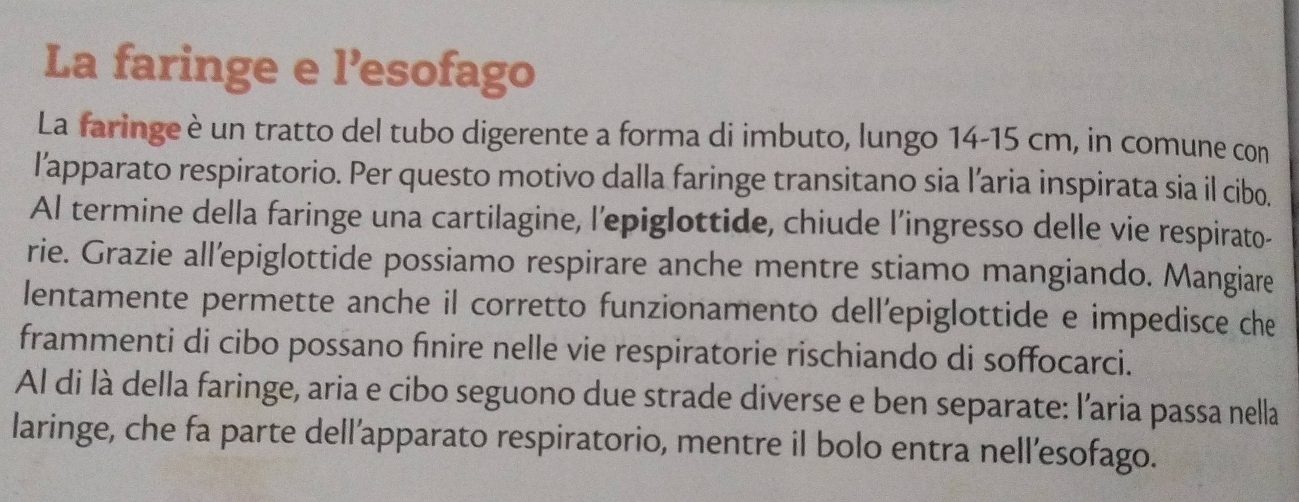 La faringe e l’esofago 
La faringeè un tratto del tubo digerente a forma di imbuto, lungo 14-15 cm, in comune con 
l’apparato respiratorio. Per questo motivo dalla faringe transitano sia l’aria inspirata sia il cibo. 
Al termine della faringe una cartilagine, l'epiglottide, chiude l’ingresso delle vie respirato- 
rie. Grazie all’epiglottide possiamo respirare anche mentre stiamo mangiando. Mangiare 
lentamente permette anche il corretto funzionamento dell'epiglottide e impedisce che 
frammenti di cibo possano finire nelle vie respiratorie rischiando di soffocarci. 
Al di là della faringe, aria e cibo seguono due strade diverse e ben separate: l'aria passa nella 
laringe, che fa parte dell’apparato respiratorio, mentre il bolo entra nell’esofago.