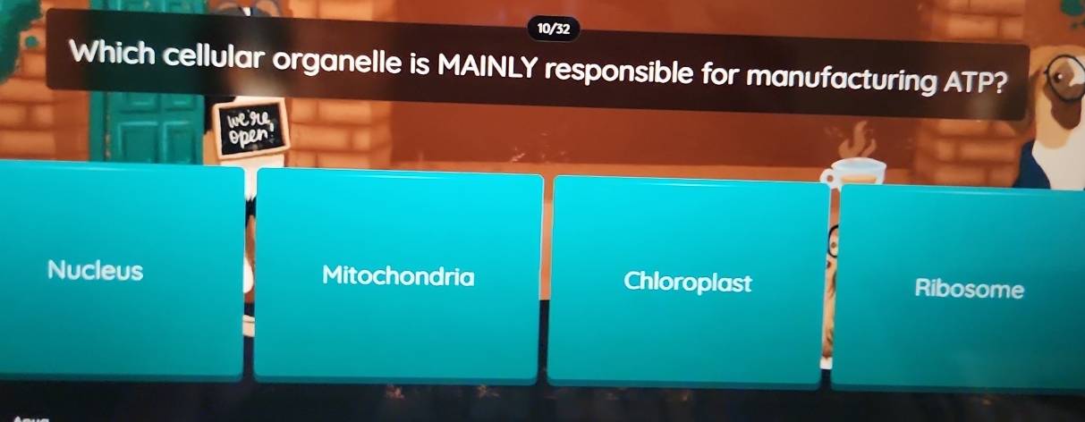 10/32
Which cellular organelle is MAINLY responsible for manufacturing ATP?
wegle
open
Nucleus Mitochondria Chloroplast Ribosome