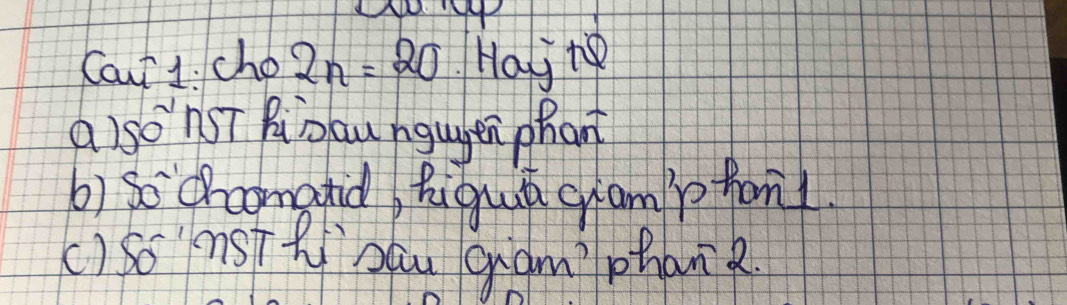 Caut 1: cho 2n=20 Hajte 
a)sonsT Pinau ngugen phan 
b) so chcomatid Rigua gamp font 
() So msTRzhu gamphan2