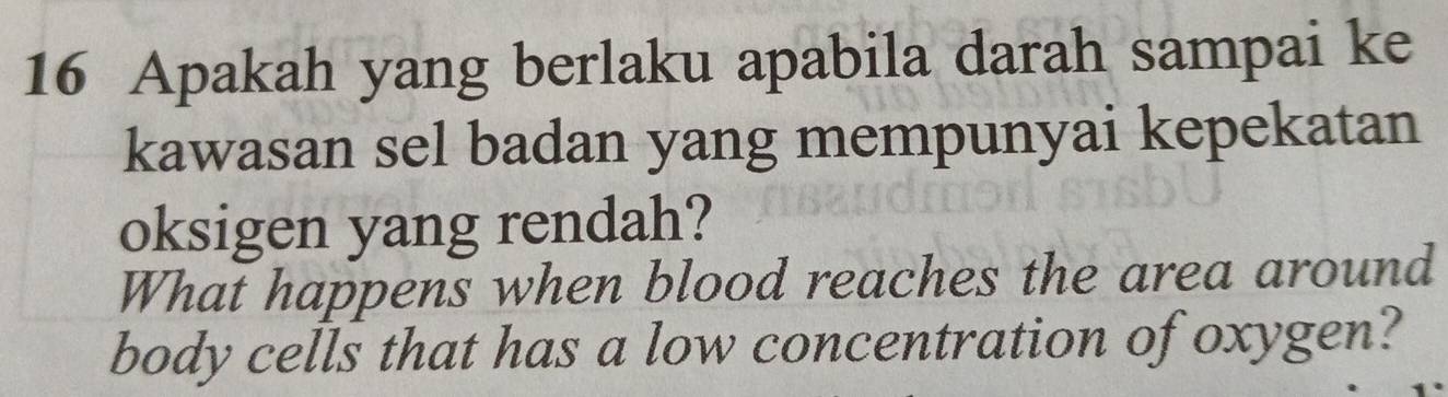 Apakah yang berlaku apabila darah sampai ke 
kawasan sel badan yang mempunyai kepekatan 
oksigen yang rendah? 
What happens when blood reaches the area around 
body cells that has a low concentration of oxygen?