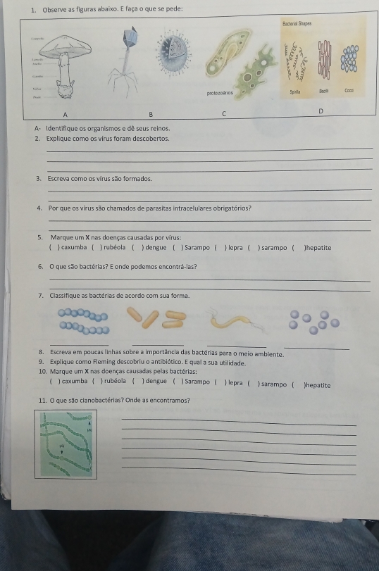 Observe as figuras abaixo. E faça o que se pede:
rlo
A
B C
D
A- Identifique os organismos e dê seus reinos.
2. Explique como os vírus foram descobertos
_
_
_
3. Escreva como os vírus são formados.
_
_
4. Por que os vírus são chamados de parasitas intracelulares obrigatórios?
_
_
5. Marque um X nas doenças causadas por virus:
( ) caxumba ( ) rubéola ( ) dengue ( ) Sarampo ( ) lepra ( ) sarampo ( )hepatite
6. O que são bactérias? E onde podemos encontrá-las?
_
_
7. Classifique as bactérias de acordo com sua forma.
__
_
_
8. Escreva em poucas linhas sobre a importância das bactérias para o meio ambiente.
9. Explique como Fleming descobriu o antibiótico. E qual a sua utilidade.
10. Marque um X nas doenças causadas pelas bactérias:
1 ) caxumba ( ) rubéola ( ) dengue ( ) Sarampo ( ) lepra ( ) sarampo ( )hepatite
11. O que são cianobactérias? Onde as encontramos?
_
_
_
_
_
_