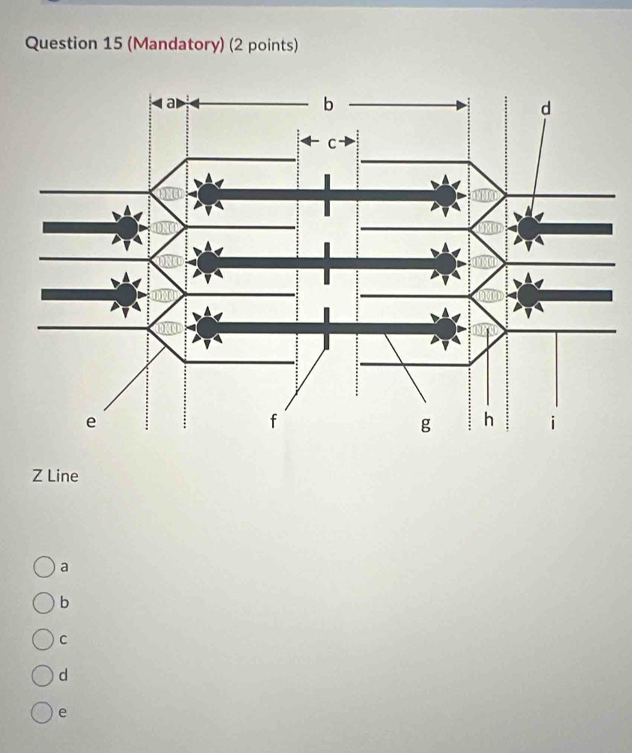 (Mandatory) (2 points)
Z Line
a
b
C
d
e