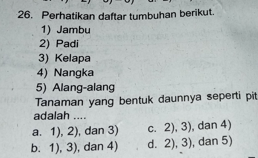 Perhatikan daftar tumbuhan berikut.
1) Jambu
2) Padi
3) Kelapa
4) Nangka
5) Alang-alang
Tanaman yang bentuk daunnya seperti pit
adalah ....
a. 1), 2 ∠ ), dan 3) C. 2),3) , dan 4)
b. 1),3) , dan 4) d. 2),3) , dan 5)