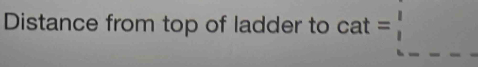 Distance from top of ladder to cat=□