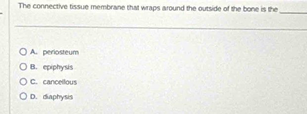 The connective tissue membrane that wraps around the outside of the bone is the
_
A. periosteum
B. epiphysis
C. cancellous
D. diaphysis