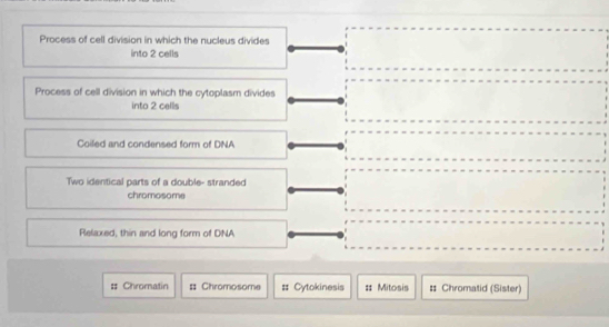 Process of cell division in which the nucleus divides 
into 2 cells 
Process of cell division in which the cytoplasm divides 
into 2 cells 
Coiled and condensed form of DNA 
Two identical parts of a double- stranded 
chromosome 
Relaxed, thin and long form of DNA 
# Chromatin = Chromosome = Cytokinesis = Mitosis # Chromatid (Sister)