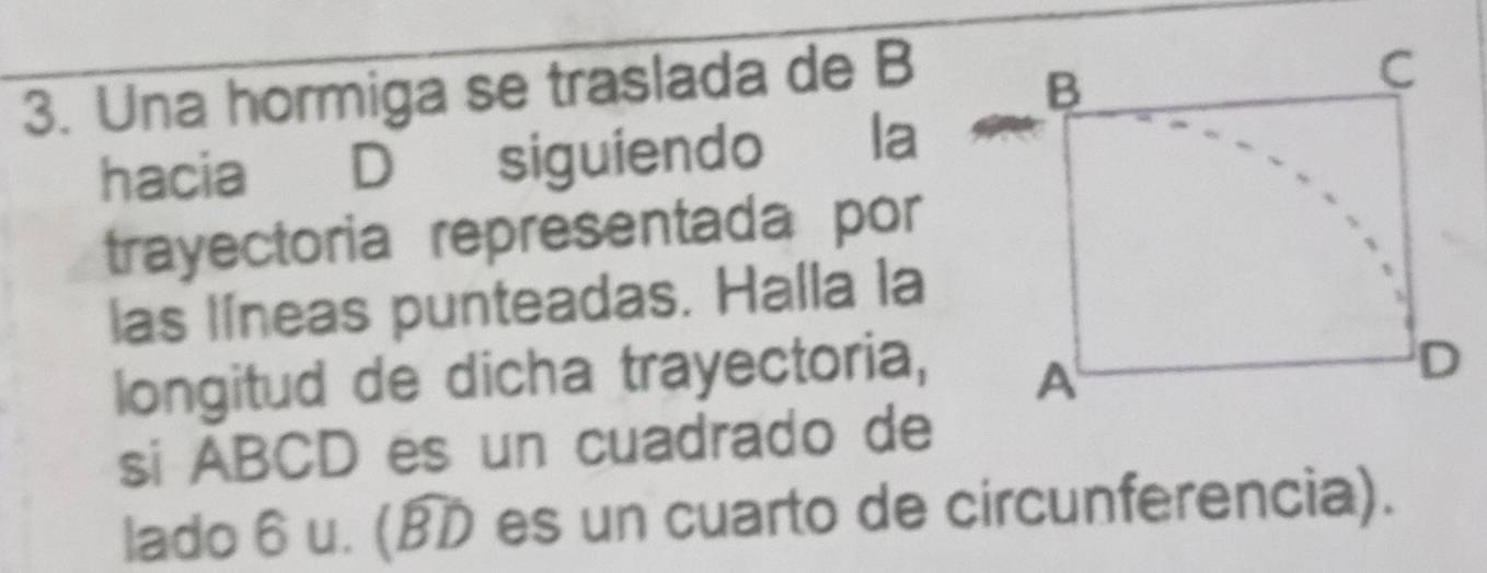 Una hormiga se traslada de B 
hacia D siguiendo À la 
trayectoria representada por 
las líneas punteadas. Halla la 
longitud de dicha trayectoria, 
si ABCD es un cuadrado de 
lado 6 u. (BD es un cuarto de circunferencia).