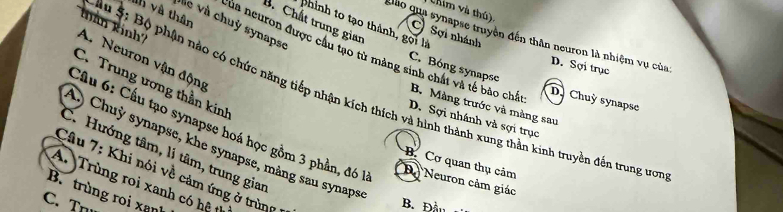 Vhim và thú).
lh và thân
B. Chất trung gian
Kiản kinh
sle và chuỷ synapse
phinh to tạo thành, gọi là
C) Sợi nhánh
Alão qua synapse truyền đến thân neuron là nhiệm vụ của
của neuron được cầu tạo từ màng sinh chất và tế bảo chấ
A. Neuron vận động
D. Sợi trục
C. Bóng synapse
C. Trung ương thần kinh
Su 5: Bộ phận nào có chức năng tiếp nhận kích thích và hình thành xung thần kinh truyền đến trung ươ
D. Chuỳ synapse
B. Màng trước và màng sau
D. Sợi nhánh và sợi trục
Cầu 6: Cấu tạo synapse hoá học gồm 3 phần, đó 1 D Neuron cảm giác
C) Chuỳ synapse, khe synapse, màng sau synapse
C. Hướng tâm, lị tâm, trung gian
B. Cơ quan thụ cảm
Câu 7: Khi nói về cảm ứng ở trùng
A. Trùng roi xanh có hệ th
B. trùng roi xạn
C. Tn
B. Đầu