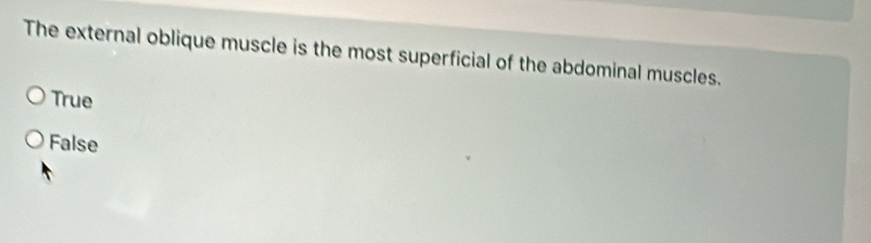 The external oblique muscle is the most superficial of the abdominal muscles.
True
False