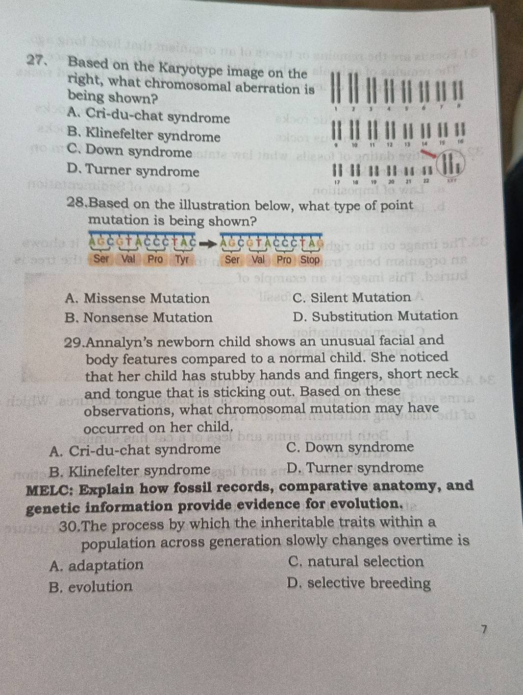 Based on the Karyotype image on the
right, what chromosomal aberration is
being shown?
A. Cri-du-chat syndrome
B. Klinefelter syndrome
C. Down syndrome
D. Turner syndrome 41
17 18 19 20 21 22
28.Based on the illustration below, what type of point
mutation is being shown?
Ac さ¢t AčさčtAč AG C O t AC CCtA
Ser Val Pro Tyr Ser Val Pro Stop
A. Missense Mutation C. Silent Mutation
B. Nonsense Mutation D. Substitution Mutation
29.Annalyn’s newborn child shows an unusual facial and
body features compared to a normal child. She noticed
that her child has stubby hands and fingers, short neck
and tongue that is sticking out. Based on these
observations, what chromosomal mutation may have
occurred on her child.
A. Cri-du-chat syndrome C. Down syndrome
B. Klinefelter syndrome D. Turner syndrome
MELC: Explain how fossil records, comparative anatomy, and
genetic information provide evidence for evolution.
30.The process by which the inheritable traits within a
population across generation slowly changes overtime is
A. adaptation C. natural selection
B. evolution D. selective breeding
7