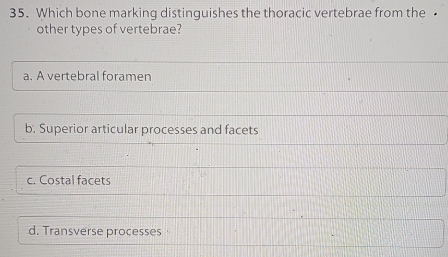 Solved: Which bone marking distinguishes the thoracic vertebrae from ...