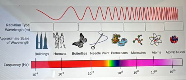 Radiation Type
Wavelength (m)
Approximate Scale
Atomic Nuclei