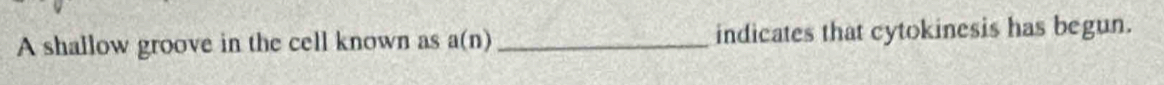 A shallow groove in the cell known as a(n) _indicates that cytokinesis has begun.