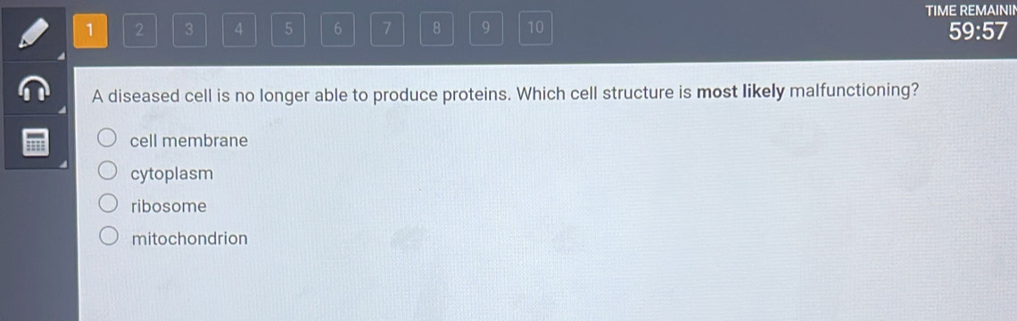 TIME REMAININ
1 2 3 4 5 6 7 8 9 10 59:57
A diseased cell is no longer able to produce proteins. Which cell structure is most likely malfunctioning?
cell membrane
cytoplasm
ribosome
mitochondrion