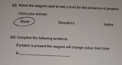 (ii) Name the reagent used to test a food for the presence of protein.
Circle your answer.
Biuret Benedict's lodine
(iii) Complete the following sentence.
If protein is present the reagent will change colour from blue
to
_
``