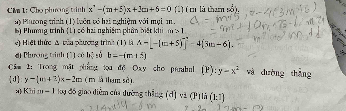 Cho phương trình x^2-(m+5)x+3m+6=0 (1) ( m là tham số). 

a) Phương trình (1) luôn có hai nghiệm với mọi m. 
b Phương trình (1) có hai nghiệm phân biệt khi m>1. 
c) Biệt thức Δ của phương trình (1) là △ =[-(m+5)]^2-4(3m+6). 
d) Phương trình (1) có hệ số b=-(m+5)
Câu 2: Trong mặt phẳng tọa độ Oxy cho parabol (P): y=x^2 và đường thắng 
(d): y=(m+2)x-2m ( m là tham số). 
a) Khi m=1 toạ độ giao điểm của đường thẳng (d) và (P)là (1;1)