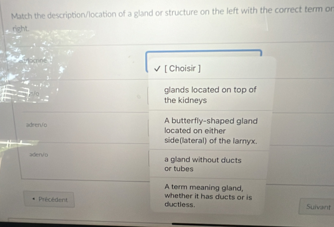 Match the description/location of a gland or structure on the left with the correct term on 
right. 
nt