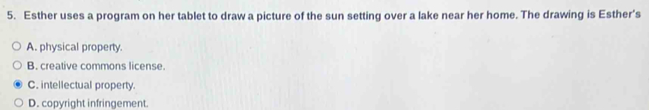 Esther uses a program on her tablet to draw a picture of the sun setting over a lake near her home. The drawing is Esther's
A. physical property.
B. creative commons license.
C. intellectual property.
D. copyright infringement.