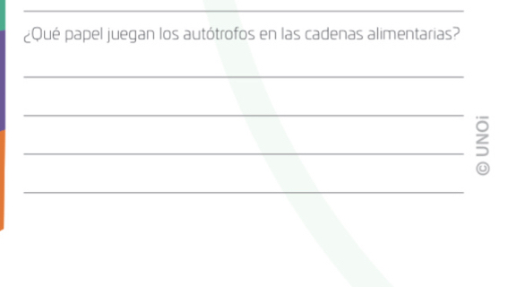 ¿Qué papel juegan los autótrofos en las cadenas alimentarias? 
_ 
_ 
_5 
_