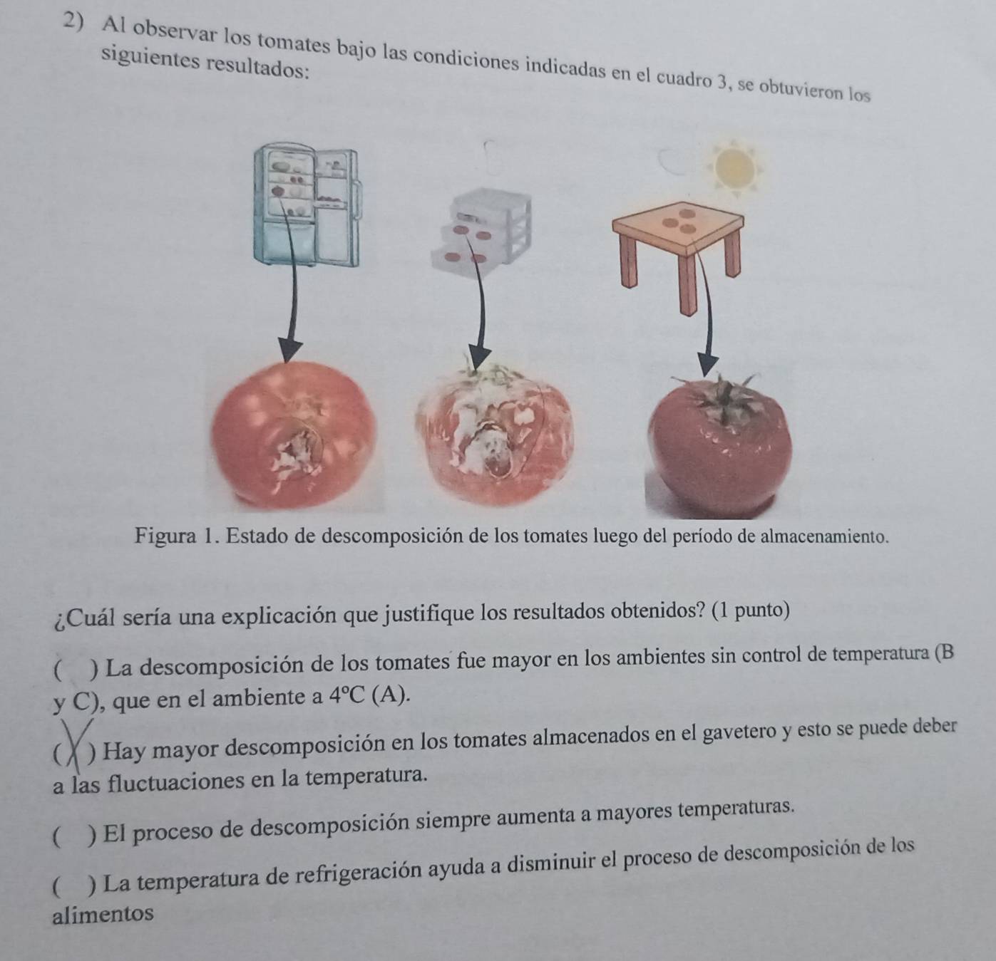 Al observar los tomates bajo las condiciones indicadas en el cuadro 3, se obtuvieron los
siguientes resultados:
Figura 1. Estado de descomposición de los tomates luego del período de almacenamiento.
¿Cuál sería una explicación que justifique los resultados obtenidos? (1 punto)
 . ) La descomposición de los tomates fue mayor en los ambientes sin control de temperatura (B
y C), que en el ambiente a 4°C (A).
( ) Hay mayor descomposición en los tomates almacenados en el gavetero y esto se puede deber
a las fluctuaciones en la temperatura.
 ) El proceso de descomposición siempre aumenta a mayores temperaturas.
( ) La temperatura de refrigeración ayuda a disminuir el proceso de descomposición de los
alimentos