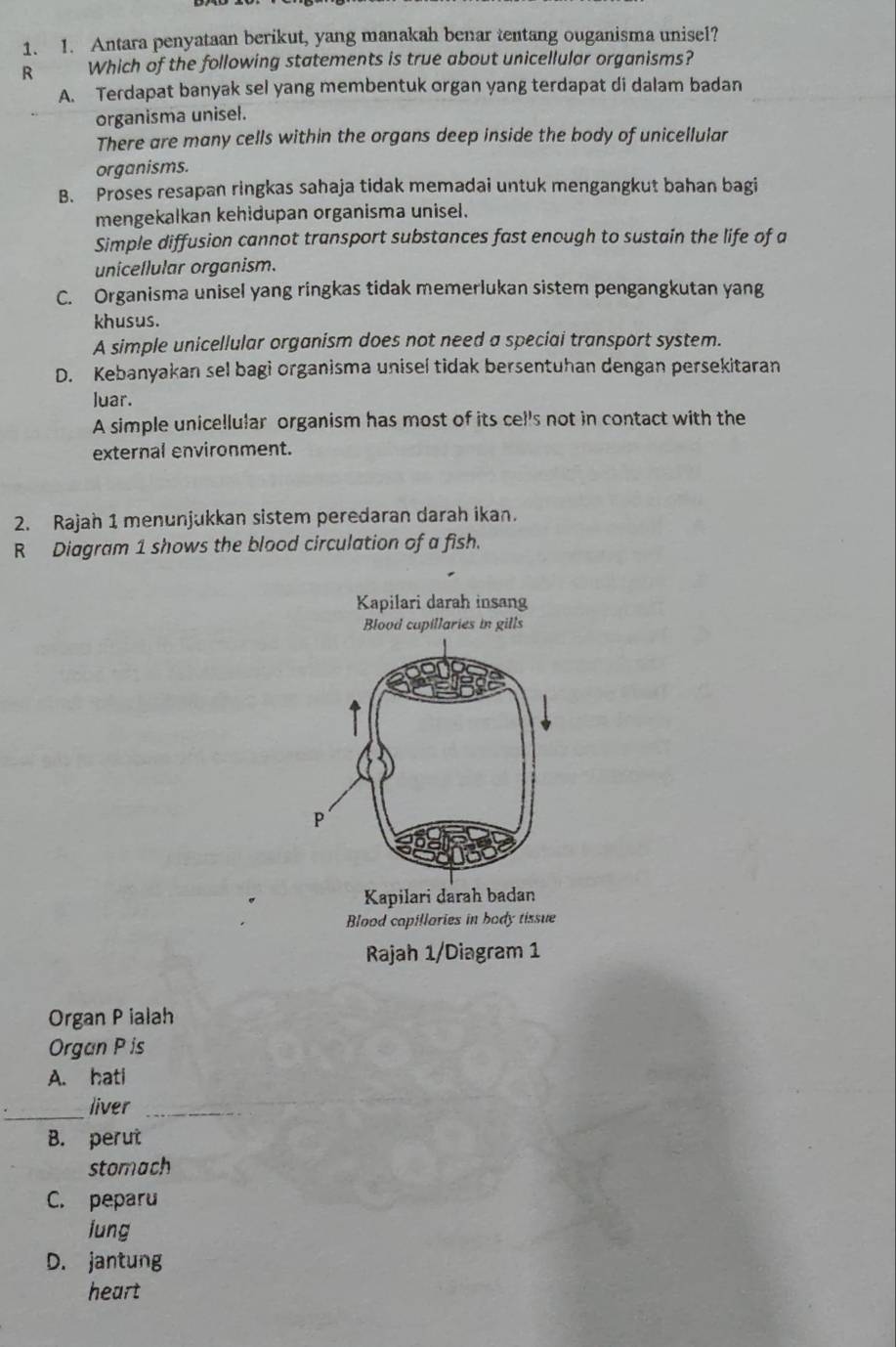 Antara penyataan berikut, yang manakah benar tentang ouganisma unisel?
R Which of the following statements is true about unicellular organisms?
A. Terdapat banyak sel yang membentuk organ yang terdapat di dalam badan
organisma unisel.
There are many cells within the organs deep inside the body of unicellular
organisms.
B. Proses resapan ringkas sahaja tidak memadai untuk mengangkut bahan bagi
mengekalkan kehidupan organisma unisel.
Simple diffusion cannot transport substances fast enough to sustain the life of a
uniceflular organism.
C. Organisma unisel yang ringkas tidak memerlukan sistem pengangkutan yang
khusus.
A simple unicellular organism does not need a speciai transport system.
D. Kebanyakan sel bagi organisma unisel tidak bersentuhan dengan persekitaran
luar.
A simple unicellular organism has most of its cel's not in contact with the
external environment.
2. Rajah 1 menunjukkan sistem peredaran darah ikan.
R Diagram 1 shows the blood circulation of a fish.
Kapilari darah insang
Blood cupillaries in gills
P
Kapilari darah badan
Blood capillories in body tissue
Rajah 1/Diagram 1
Organ P ialah
Organ P is
A. hati
_
liver_
B. perut
stomach
C. peparu
lung
D. jantung
heart