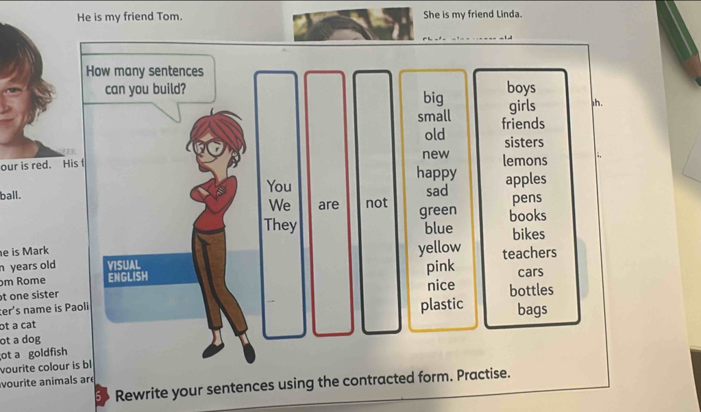 is my friend Tom. She is my friend Linda. 
How many sentences 
can you build? boys 
big girls h. 
small friends 
old sisters 
new 
our is red. His t lemons 
happy 
You sad apples 
ball. We are not pens 
green books 
They blue bikes 
e is Mark 
n years old VISUAL yellow teachers 
ɔm Rome ENGLISH pink cars 
t one sister nice bottles 
ter's name is Paoli 
plastic bags 
ot a cat 
ot a dog 
ot a goldfish 
vourite colour is bl 
vourite animals are Rewrite your sentences using the contracted form. Practise. 
D