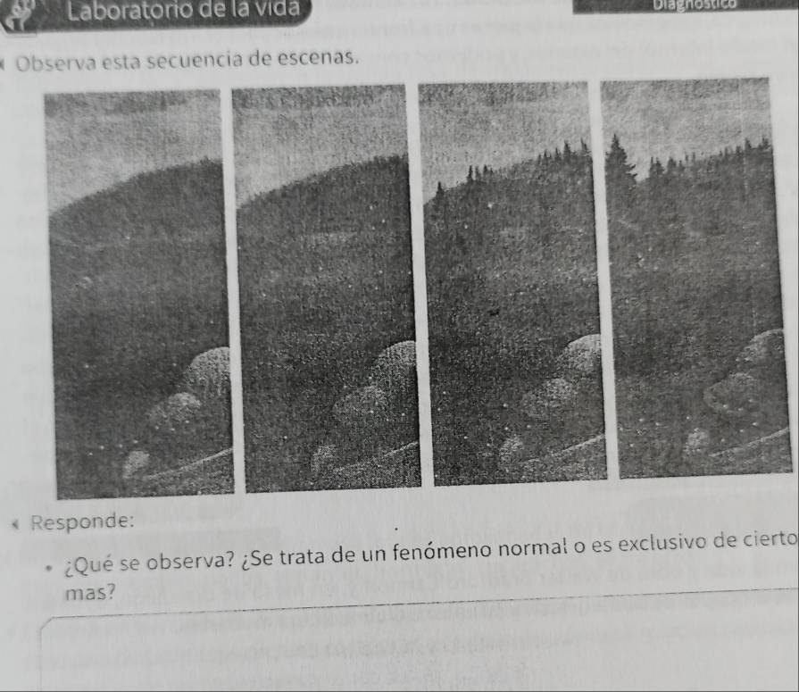 Laboratorio de la vida Diagnostico 
* Observa esta secuencia de escenas. 
Responde: 
¿Qué se observa? ¿Se trata de un fenómeno normal o es exclusivo de cierto 
mas?