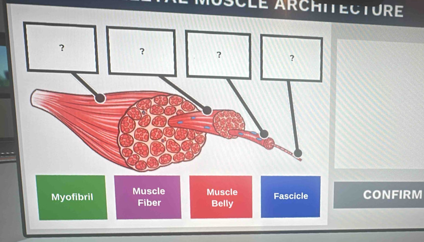 SCLE ArCHITECTUrE 
CONFIRM