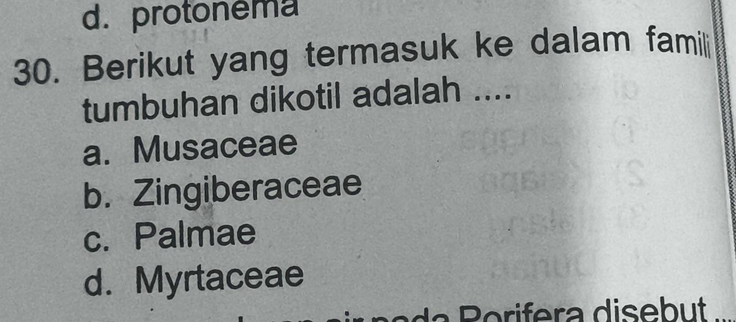 d. protonéma
30. Berikut yang termasuk ke dalam famili
tumbuhan dikotil adalah ....
a. Musaceae
b. Zingiberaceae
c. Palmae
d. Myrtaceae
a P o ri era disebut