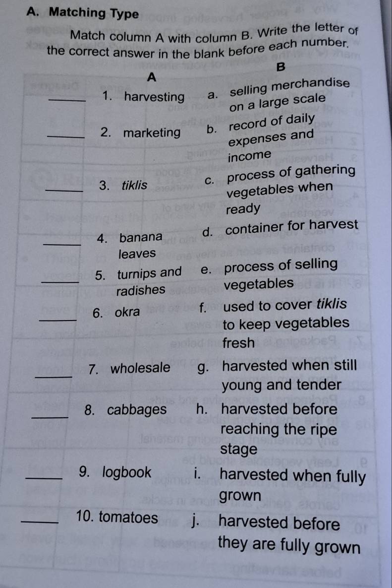 Matching Type
Match column A with column B. Write the letter of
the correct answer in the blank before each number.
B
A
_1. harvesting a. selling merchandise
on a large scale
_2. marketing b. record of daily
expenses and
income
_3. tiklis
c. process of gathering
vegetables when
ready
_
4. banana d. container for harvest
leaves
5. turnips and e. process of selling
_radishes vegetables
_
6. okra f. used to cover tiklis
to keep vegetables
fresh
_
7. wholesale g. harvested when still
young and tender
_8. cabbages h. harvested before
reaching the ripe
stage
_9. logbook i. harvested when fully
grown
_10. tomatoes j. harvested before
they are fully grown