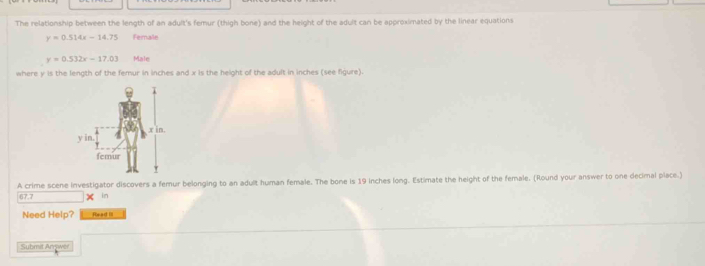 The relationship between the length of an adult's femur (thigh bone) and the height of the adult can be approximated by the linear equations
y=0.514x-14.75 Female
y=0.532x-17.03 Male
where y is the length of the femur in inches and x is the height of the adult in inches (see figure).
A crime scene investigator discovers a femur belonging to an adult human female. The bone is 19 inches long. Estimate the height of the female. (Round your answer to one decimal place.)
67 7 × in
Need Help? Reart III
Submit Anywer