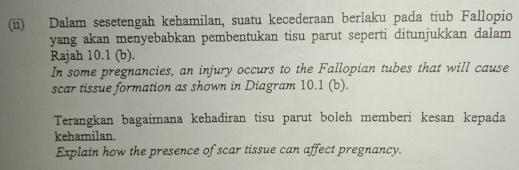 (ii) Dalam sesetengah kehamilan, suatu kecederaan berlaku pada tiub Fallopio 
yang akan menyebabkan pembentukan tisu parut seperti ditunjukkan dalam . 
Rajah 10.1 (b). 
In some pregnancies, an injury occurs to the Fallopian tubes that will cause 
scar tissue formation as shown in Diagram 10.1 (b). 
Terangkan bagaimana kehadiran tisu parut boleh memberi kesan kepada 
kehamilan. 
Explain how the presence of scar tissue can affect pregnancy.