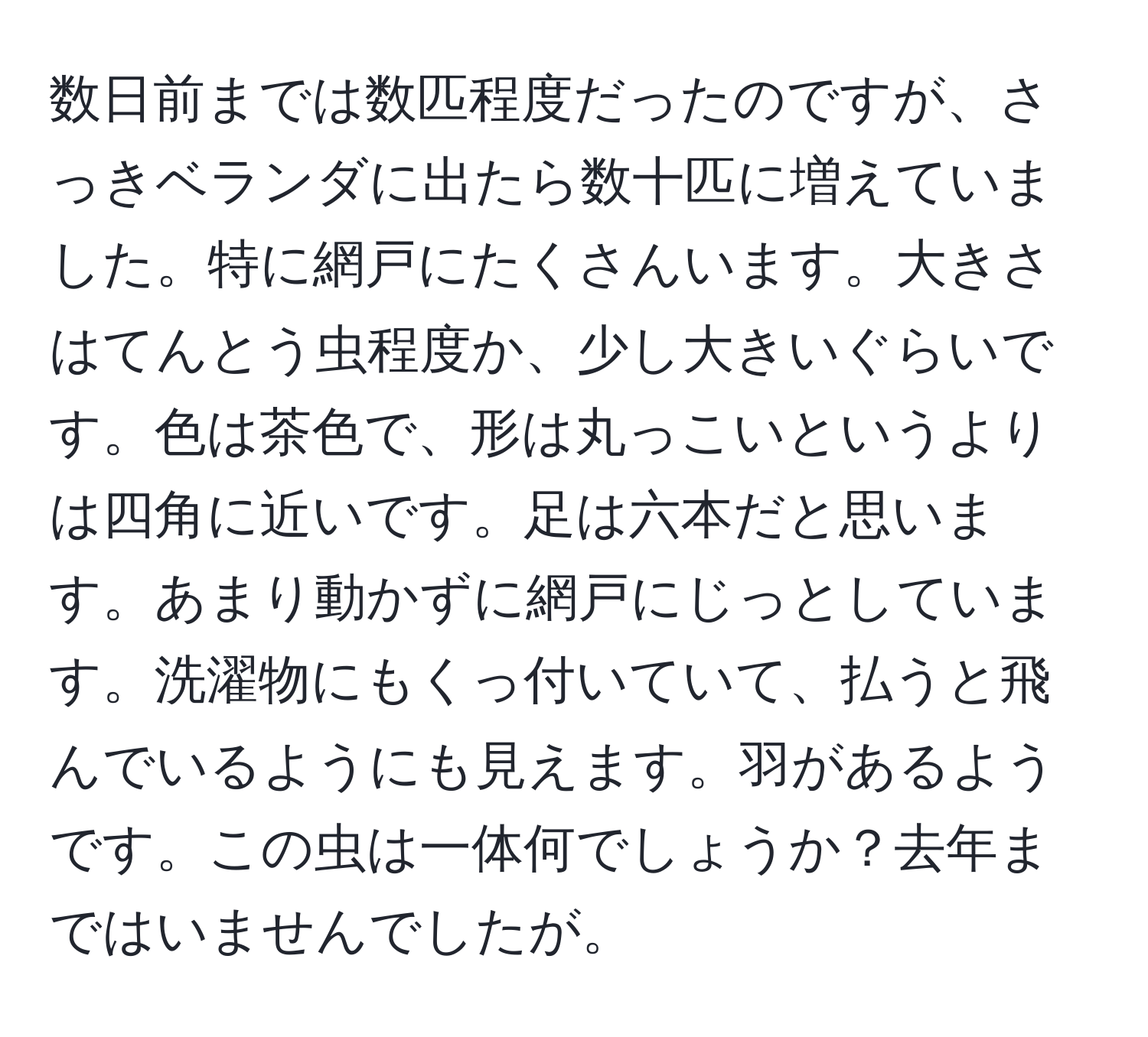 数日前までは数匹程度だったのですが、さっきベランダに出たら数十匹に増えていました。特に網戸にたくさんいます。大きさはてんとう虫程度か、少し大きいぐらいです。色は茶色で、形は丸っこいというよりは四角に近いです。足は六本だと思います。あまり動かずに網戸にじっとしています。洗濯物にもくっ付いていて、払うと飛んでいるようにも見えます。羽があるようです。この虫は一体何でしょうか？去年まではいませんでしたが。