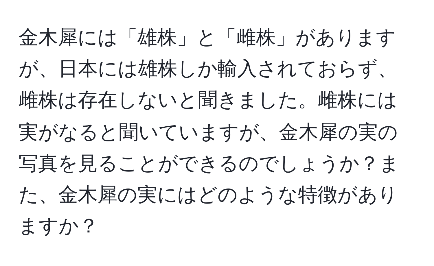 金木犀には「雄株」と「雌株」がありますが、日本には雄株しか輸入されておらず、雌株は存在しないと聞きました。雌株には実がなると聞いていますが、金木犀の実の写真を見ることができるのでしょうか？また、金木犀の実にはどのような特徴がありますか？