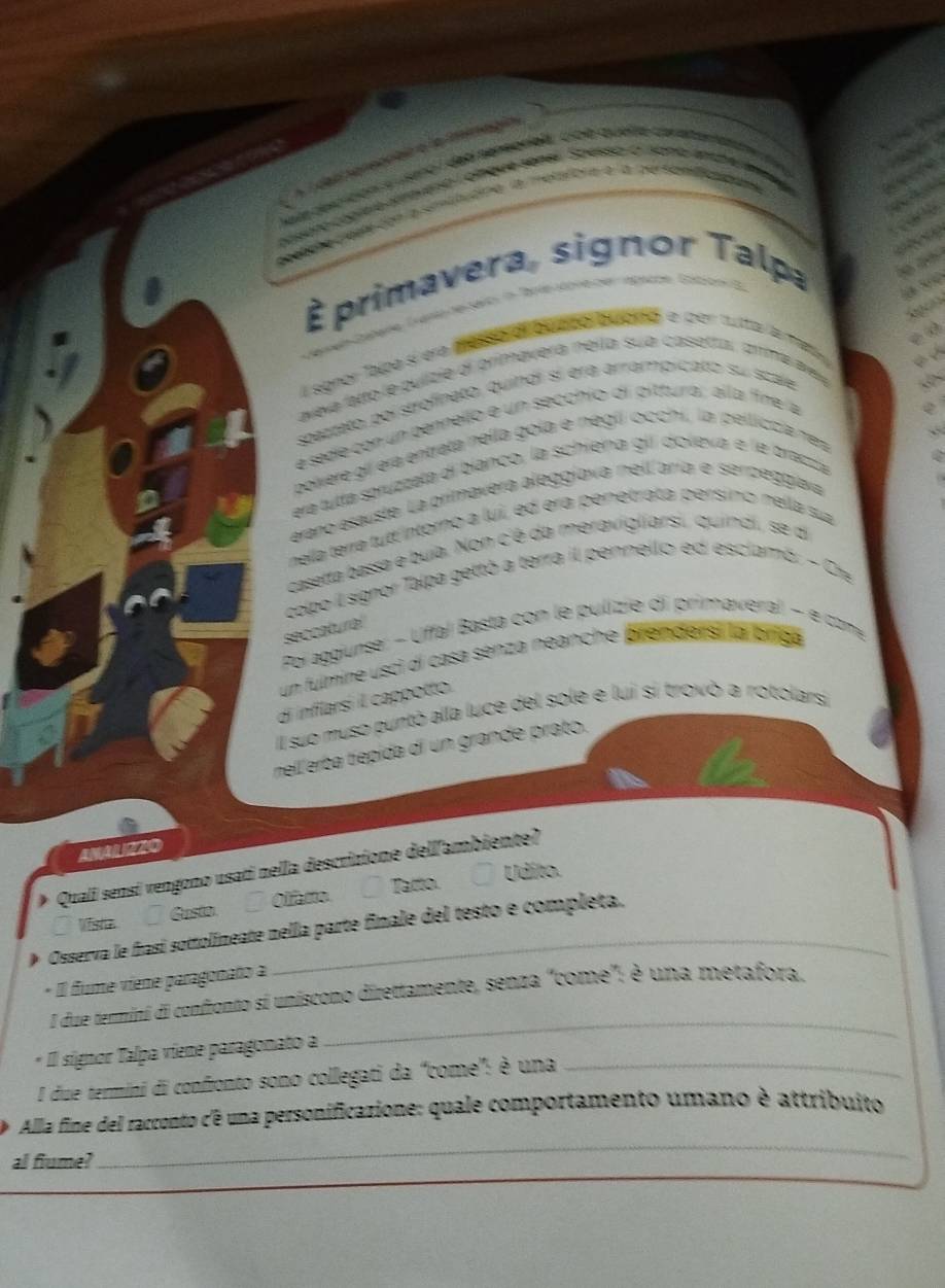 À  primavera, signor Talp
                
l signor Taípa sí era messo al bútco bubró e per tutta la ma
aveva atto le pulizie di primavera, nella sua casetta, árima are
spaztato, poi strofineto, quindi sí ara arrampiicato su scale
é sede con un penneilo e un secchio di pitturar, alla fine a
polvere gii era entrata nella gola e negúi occhi, la peiliccia nera
era tutta spruzzeta di bíanco, la schiena gil dolleva e le bracza
erano esauste. La primavera aleggíava mell'aría e sempeggíava
nella terra tutt intoro a lui, ed era penetrata persino nella sua
casetta bassa e buia. Non c'é da meravigliarsi, quindi, se d
colpo il signor Talpa gettó a terra il pennello ed esclamó: - Cre
seccatura!
Poi aggiunse: - Uffal Basta con le pulizie di primaveral - e com
un fulmine usci di casa sénza neanche prendersi la brliga
di infilarsí il cappotto.
Il suo muso puntó alla luce del sole e lui si trovò a rotolarsi
nell'erba tíepida di un grande prato.
AMALIZZO
* Quali sensí vengono usati nella descrizione dell'ambiente?
Vista., É Gusto, É Olfatto, Ü Tatto. Ü Udito.
Osserva le frasí sottolineate nella parte finale del testo e completa.
* Il fume viene paragonato a
_
I due tenmini di conftonto si uniscono direttamente, senza "come"; é una metafora.
* Il signor Talpa viene paragonato a
I due termini di confronto sono collegati da “come”: é una_
_
. Alla fine del racconto c'é una personificazione: quale comportamento umano è attribuito
all fiume?