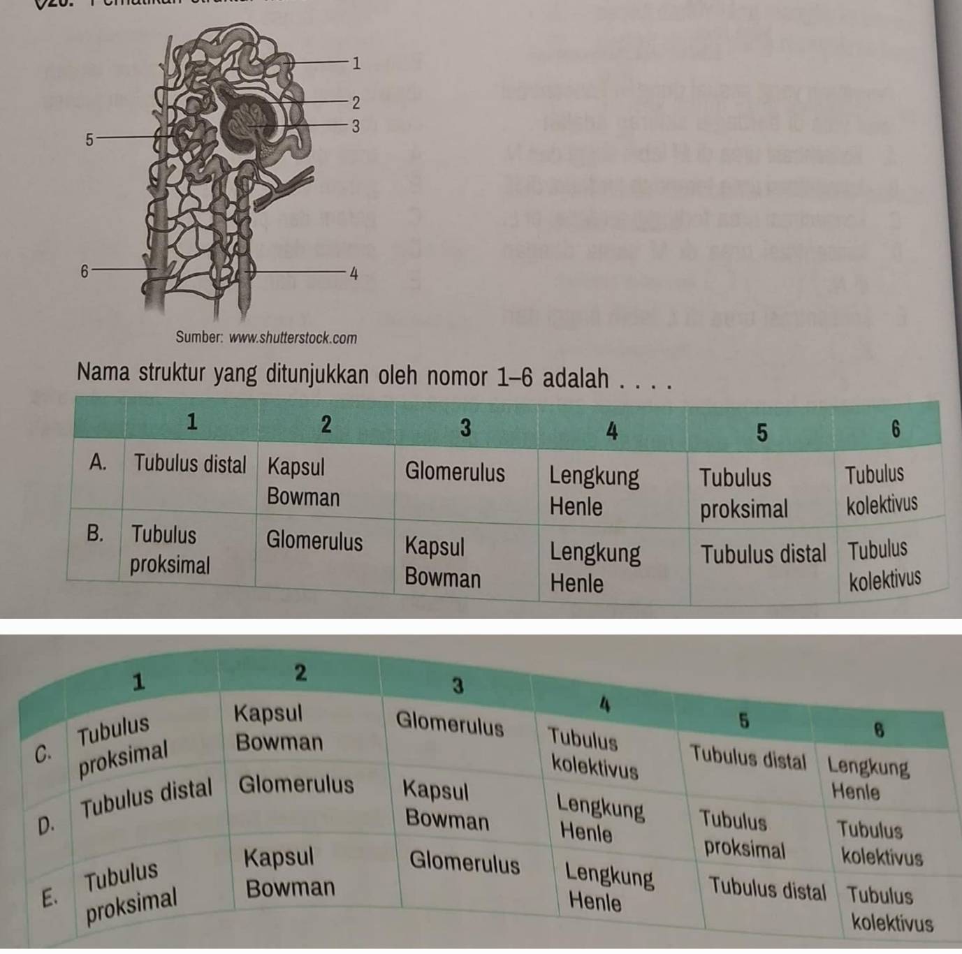 Nama struktur yang ditunjukkan oleh nomor 1-6 adalah . . . .