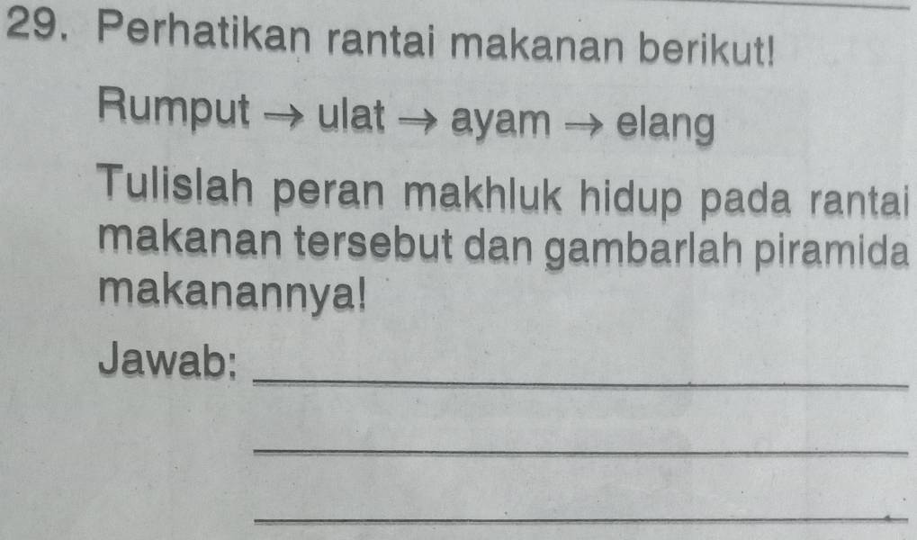 Perhatikan rantai makanan berikut! 
Rumput → ulat → ayam → elang 
Tulislah peran makhluk hidup pada rantai 
makanan tersebut dan gambarlah piramida 
makanannya! 
Jawab:_ 
_ 
_