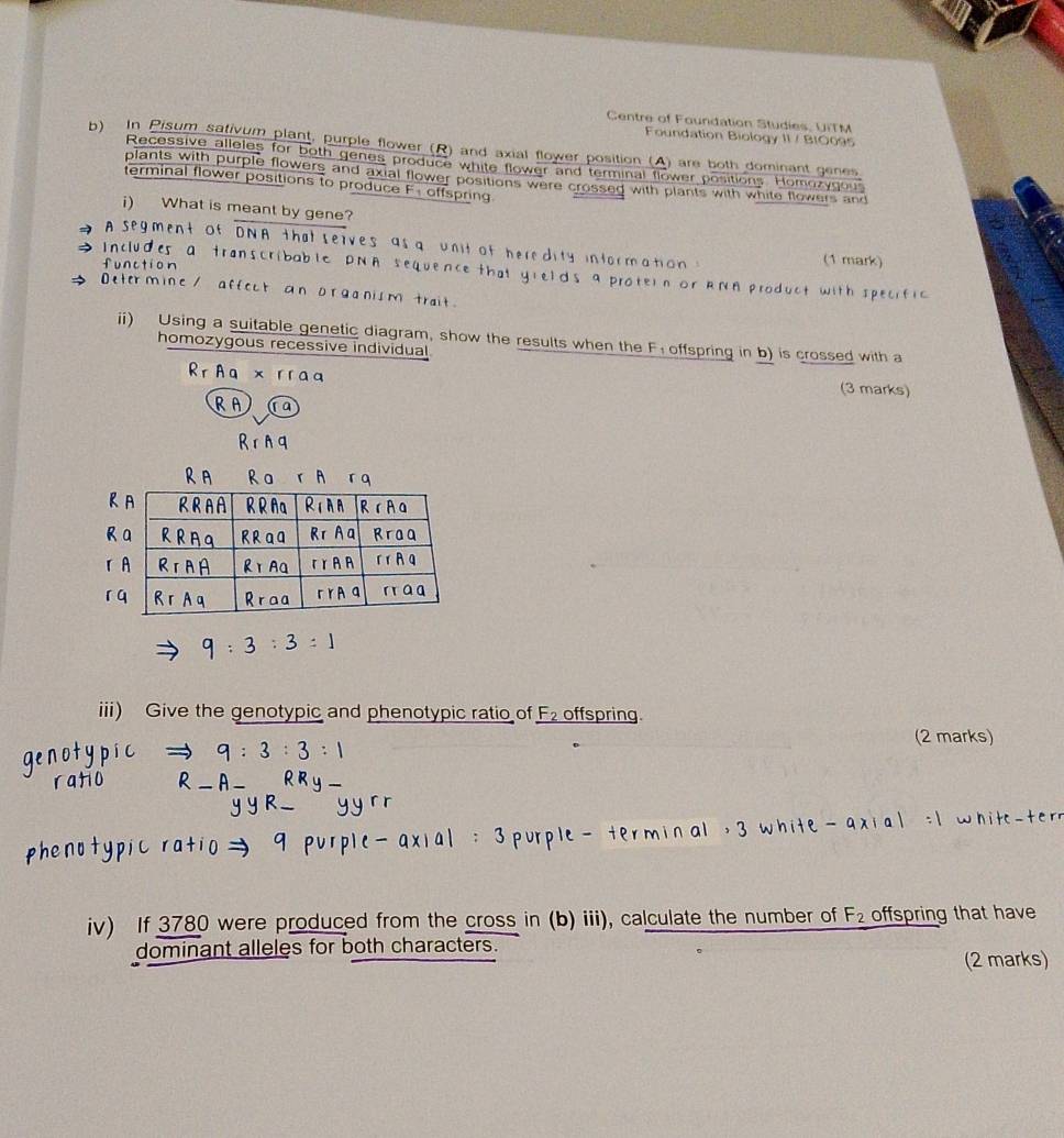 Centre of Foundation Studies, UITM 
Foundation Biology II / BIO095 
b) In Pisum sativum plant, purple flower (R) and axial flower position (A) are both dominant genes 
Recessive alleles for both genes produce white flower and terminal flower positions. Homozygous 
plants with purple flowers and axial flower positions were crossed with plants with white flowers and 
terminal flower positions to produce F : offspring 
i) What is meant by gene? 
A segment of DNA that u of heredity information 
Includes a transcribab (1 mark) 
function
ü r
s 9 prote) n or RNA product with specific 

ii) Using a suitable genetic diagram, show the results when the F : offspring in b) is crossed with a 
homozygous recessive individual 
(3 marks) 
iii) Give the genotypic and phenotypic ratio of F_2 offspring 
(2 marks) 
e r
iv) If 3780 were produced from the cross in (b) iii), calculate the number of F_2 offspring that have 
dominant alleles for both characters. 
(2 marks)