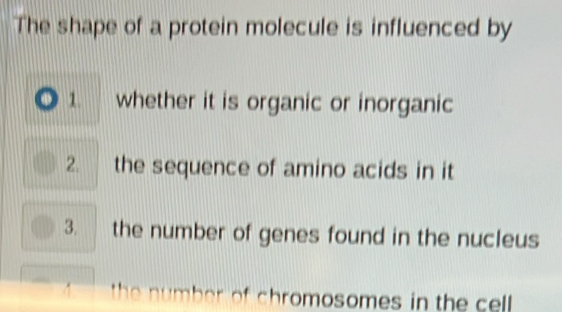 The shape of a protein molecule is influenced by 
1. whether it is organic or inorganic 
2. the sequence of amino acids in it 
3. the number of genes found in the nucleus 
the number of chromosomes in the cel