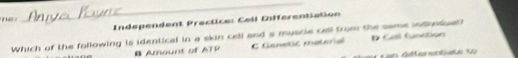 Independent Practice: Cell Differentiation
Which of the following is identical in a skin cell and a myscle call from the same indboduel? D Call functioa
B Amount of ATP C Genetic material
en derelate V o