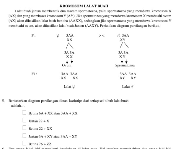 KROMOSOM LALAT BUAH
Lalat buah jantan membentuk dua macam spermatozoa, yaitu spermatozoa yang membawa kromosom X
(AX) dan yang membawa kromosom Y(AY). Jika spermatozoa yang membawa kromosom X membuahi ovum
(AX) akan dihasilkan lalat buah bentina (AAXX), sedangkan jika spermatozoa yang membawa kromosom Y
membuahi ovum, akan dihasilkan lalat buah Jantan (AAXY). Perhatikan diagram persilangan berikut.
P : φ 3AA 3AA
> < XY
XX
3A 3A 3A 3A
XX X Y
Ovum Spermatozoa
F1 : 3AA 3AA 3AA 3AA
XX XX XY XY
Lalat ♀ Lalat  vector o
5. Berdasarkan diagram persilangan diatas, kariotipe dari setiap sel tubuh lalat buah
adalah...
Betina 6A+XX atau 3AA+XX
Jantan 22+X
Betina 22+XX
Jantan 6A+XY atau 3AA+XY
Betina 76+ZZ