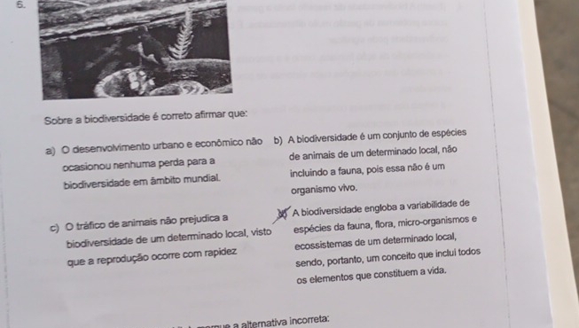 Sobre a biodiversidade é correto afirmar que:
a) O desenvolvimento urbano e econômico não b) A biodiversidade é um conjunto de espécies
ocasionou nenhuma perda para a de animais de um determinado local, não
biodiversidade em âmbito mundial. incluindo a fauna, pois essa não é um
organismo vivo.
c) O tráfico de animais não prejudica a A biodiversidade engloba a variabilidade de
biodiversidade de um determinado local, visto espécies da fauna, flora, micro-organismos e
que a reprodução ocorre com rapídez ecossistemas de um determinado local,
sendo, portanto, um conceito que inclui todos
os elementos que constituem a vida.
que a alternativa incorreta;