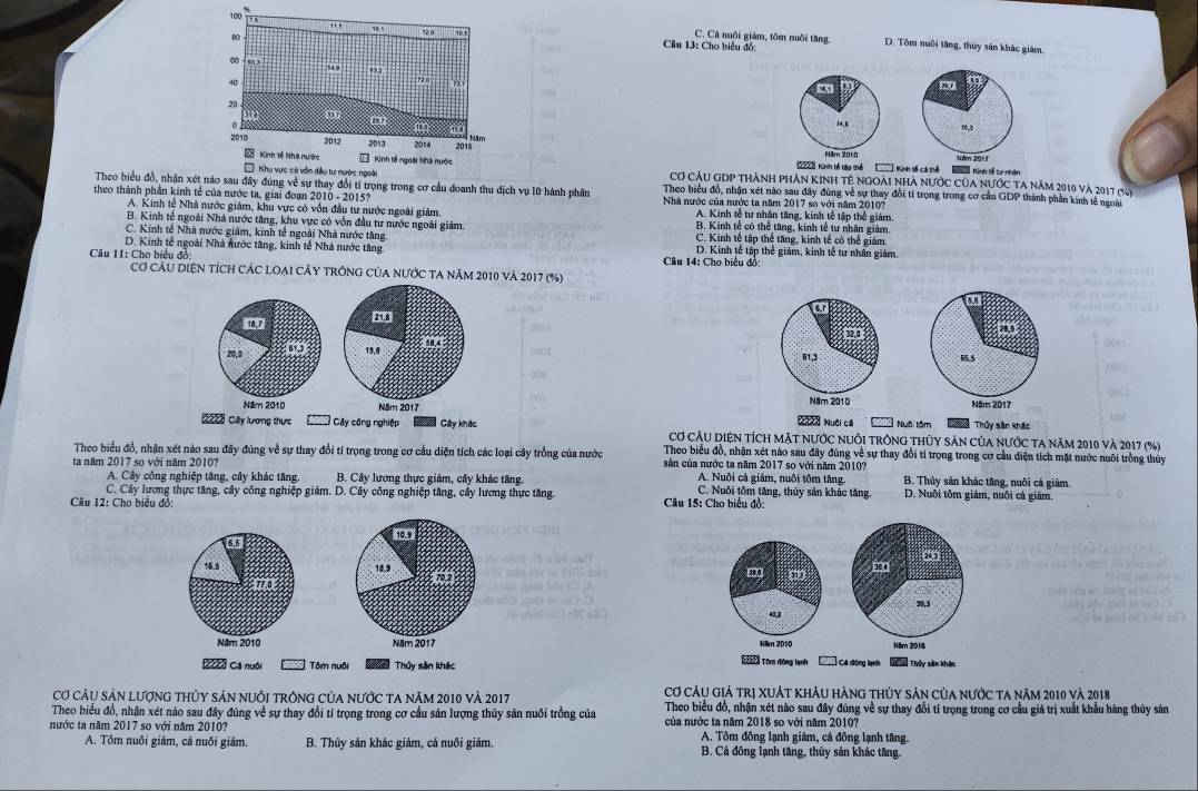 C. Cả nuôi giám, tồm nuôi tăng. D. Tôm nuôi tăng, thủy sản khác giảm.
Câu 13: Cho biểu đồ:
 
 
C   3 Kinh tổ tp thể    Kinh bế cá thể Kaoa Kinh tễ tư nhân Năm 201 /
Cơ Cầu GDp thành phản kinh tê ngoài nhà nước của nước ta năm 2010 và 2017 (%6)
Theo biểu đồ, nhân ay đổi tỉ trọng trong cơ cầu doanh thu dịch vụ lữ hành phân Theo biểu đồ, nhận xét nào sau đây đùng về sự thay đổi tí trọng trong cơ cầu GDP thành phần kinh tế ngoài
theo thành phần kinh tế của nước ta, giai đoạn 2010 - 2015? Nhà nước của nước ta năm 2017 so với năm 20107
A. Kinh tế Nhà nước giám, khu vực có vốn đầu tư nước ngoài giám. A. Kinh tế tư nhân tăng, kinh tế tập thể giám.
B. Kinh tế ngoài Nhà nước tăng, khu vực có vốn đầu tư nước ngoài giâm. B. Kinh tế có thể tăng, kinh tế tư nhân giám
C. Kinh tế Nhà nước giám, kính tế ngoài Nhà nước tăng C. Kinh tế tập thể tăng, kinh tế có thể giám
D. Kinh tế ngoài Nhà nước tăng, kinh tế Nhà nước tăng D. Kinh tế tập thể giám, kinh tế tư nhân giám.
Câu 11: Cho biểu đồ:  Câu 14: Cho biểu đồ:
Cơ CÂU DIỆN TÍCH CÁC LOẠI CÂY TrởnG Của nƯỚc tA năm 2010 và 2017 (%)
47
20,0 09 19,8 ad
 
Năm 2010 Năm 2017 *  Nuới cá  Nuôi tâm u Thủy sân khác
C2 c8 Cây lương thực Cây công nghiệp am Cây khác Cơ CÂU DIện tÍch mặt nưỚc nuỗi trông thủy sản của nước ta năm 2010 và 2017 (%)
Theo biểu đổ, nhận xét nào sau đây đùng về sự thay đổi tỉ trọng trong cơ cầu diện tích các loại cây trồng của nước  Theo biểu đồ, nhận xét nào sau đây đúng về sự thay đổi tí trọng trong cơ cầu diện tích mặt nước nuôi trồng thủy
ta năm 2017 so với năm 2010? sản của nước ta năm 2017 so với năm 2010? B. Thủy sản khác tăng, nuôi cả giảm.
A. Cây công nghiệp tăng, cây khác tăng. B. Cây lương thực giảm, cây khác tăng. A. Nuôi cả giảm, nuôi tôm tăng. D. Nuôi tôm giâm, nuổi cá giâm.
C. Cây lương thực tăng, cây công nghiệp giảm. D. Cây công nghiệp tăng, cây lương thực tăng.
C. Nuôi tôm tăng, thủy sản khác tăng.
Câu 12: Cho biểu đồ:  Câu 15: Cho biểu đồ:
6,5
on
16.5 18,9
77.0 70.2
39,3
40,2
Năm 2010 Năm 2017 Hilm 2010 Năm 2014
【 Tôm động lanh
C8 Cá nuôi Tôm nuôi Thủy sản khác  Cá động lạnh Th Thủy sản khảo
Cơ CÂU sản lượng thỦy sản nuÔi trÔnG của nước ta năm 2010 và 2017 Cơ cầu giả trị xuát khảu hàng thủy sản của nước ta năm 2010 và 2018
Theo biểu đổ, nhận xét nào sau đây đúng về sự thay đổi tí trọng trong cơ cầu sản lượng thủy sản nuôi trồng của Theo biểu đồ, nhận xét nào sau đây đúng về sự thay đổi tỉ trọng trong cơ cầu giá trị xuất khẩu hàng thủy sản
nước ta năm 2017 so với năm 2010? của nước ta năm 2018 so với năm 20107
A. Tôm đông lạnh giảm, cá đông lạnh tăng.
A. Tôm nuôi giám, cá nuôi giảm. B. Thủy sân khác giám, cá nuôi giám. B. Cá đông lạnh tăng, thủy sản khác tăng.