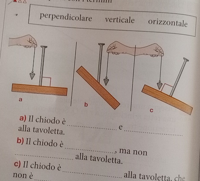 perpendicolare verticale orizzontale
a) Il chiodo è
alla tavoletta.
_
_
e
_
b) Il chiodo è_ , ma non
alla tavoletta.
_
c) Il chiodo è
non è _alla tavoletta, che