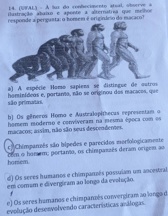 (UFAL) - À luz do conhecimento atual, observe a
ilustração abaixo e aponte a alternativa que melhor
ta: o homem é originário do macaco?
a) A espécie Homo sapiens se distingue de o
hominídeos e, portanto, não se originou dos macacos, que
são primatas.
b) Os gêneros Homo e Australopithecus representam o
homem moderno e conviveram na mesma época com os
macacos; assim, não são seus descendentes.
c) Chimpanzés são bípedes e parecidos morfologicamente
com o homem; portanto, os chimpanzés deram origem ao
homem.
d) Os seres humanos e chimpanzés possuíam um ancestral
em comum e divergiram ao longo da evolução.
e) Os seres humanos e chimpanzés convergiram ao longo d
evolução desenvolvendo características análogas.